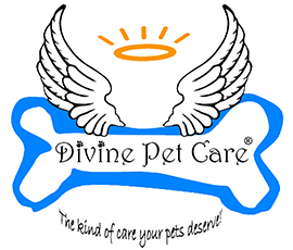 Divine Pet Care